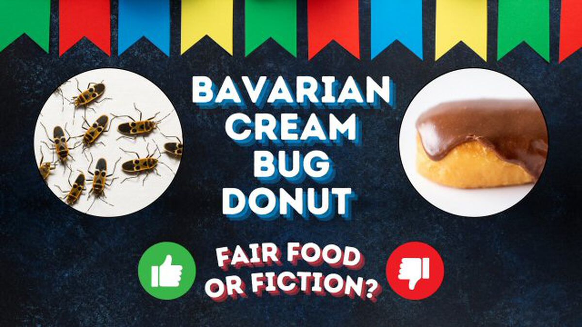 Fair Food or Fiction? - Vol 3 image number null